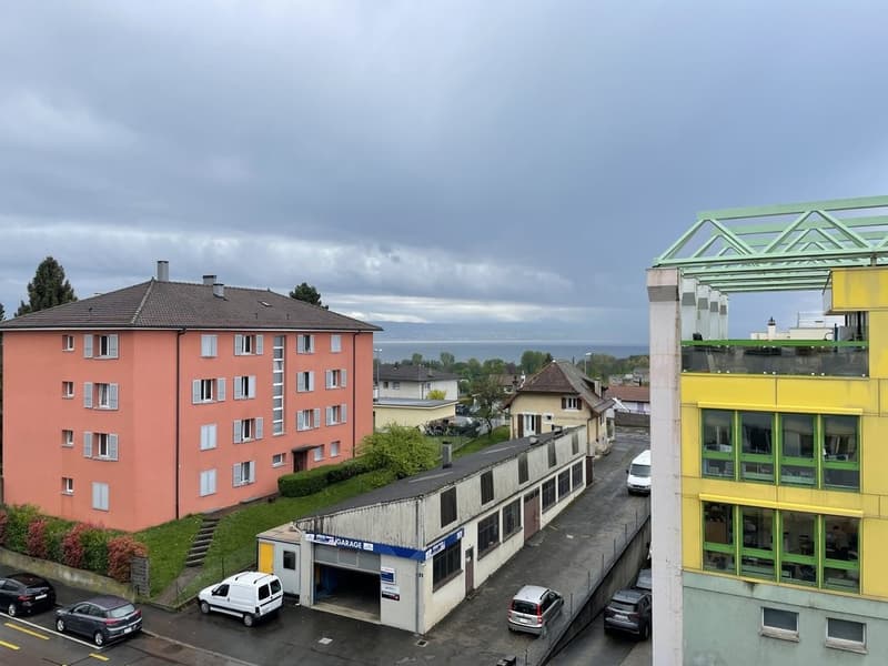 A saisir ! Spacieux logement au coeur de Renens ! (12)