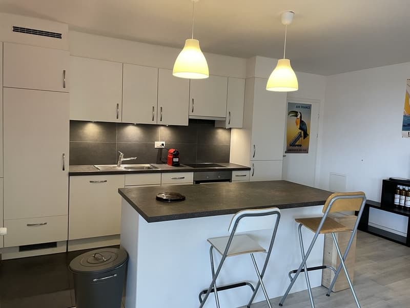 A saisir ! Spacieux logement au coeur de Renens ! (6)