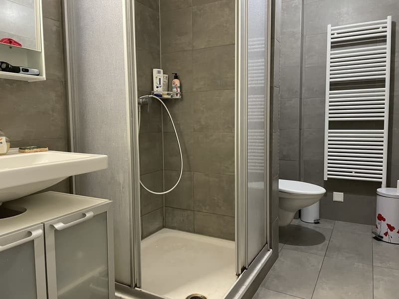 A saisir ! Spacieux logement au coeur de Renens ! (10)