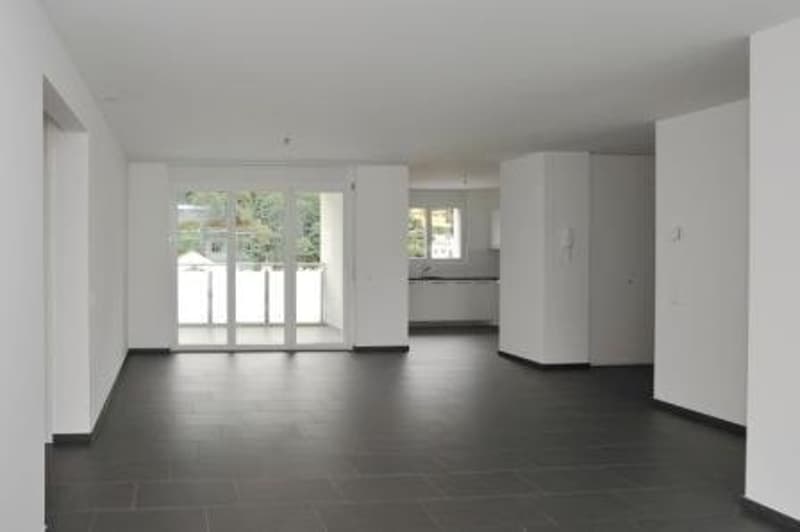 Ampio e luminoso 3.5 locali immerso nel verde a Locarno (2)