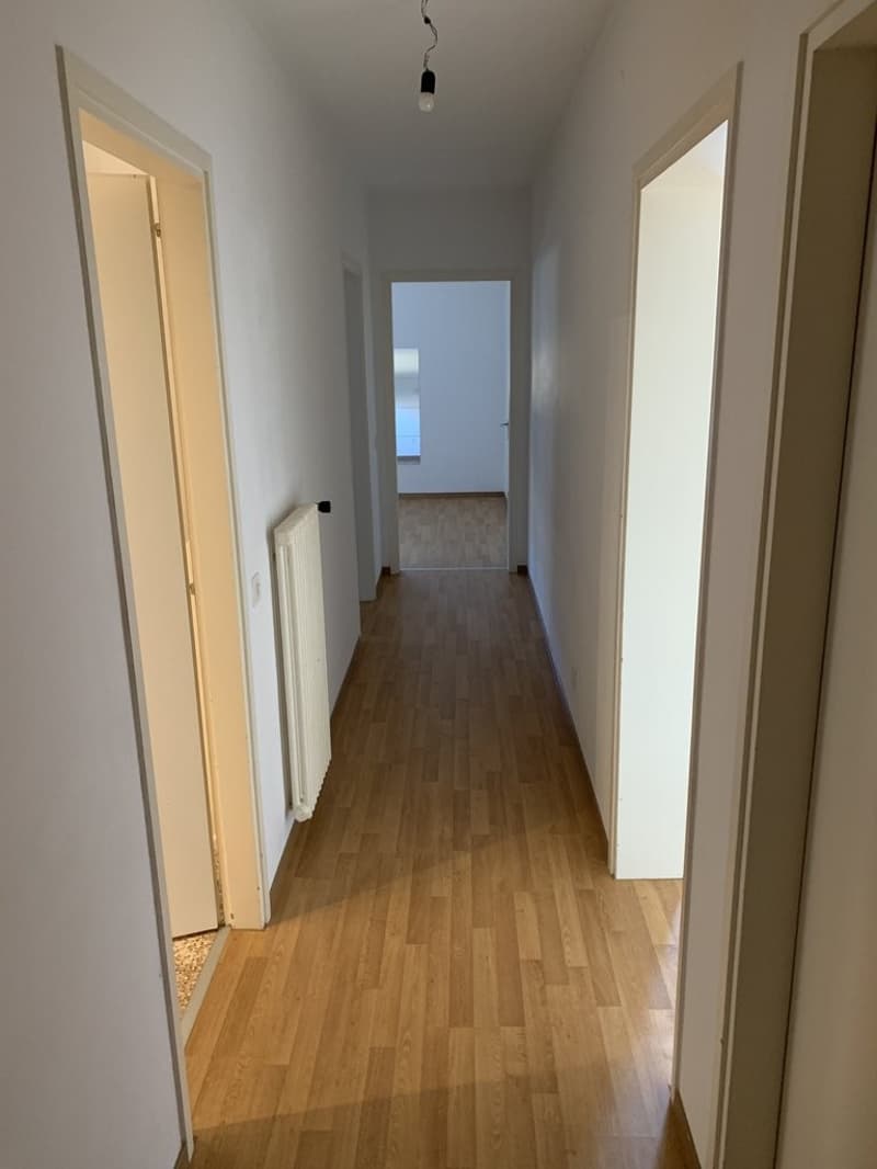 Affittasi appartamento di 3.5 locali (2)