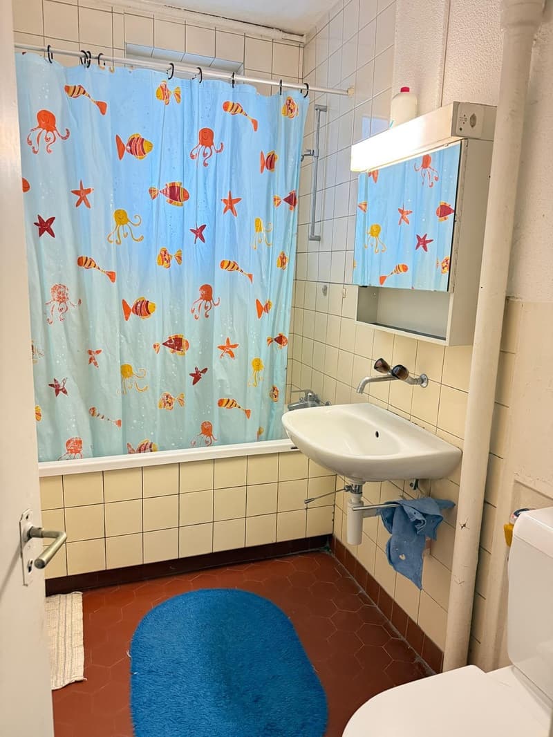 Co-Living in Wipkingen - Mehrere Möblierte Zimmer & ganze Wohnungen verfügbar (5)