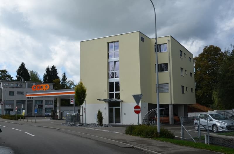 Grünaustrasse 1