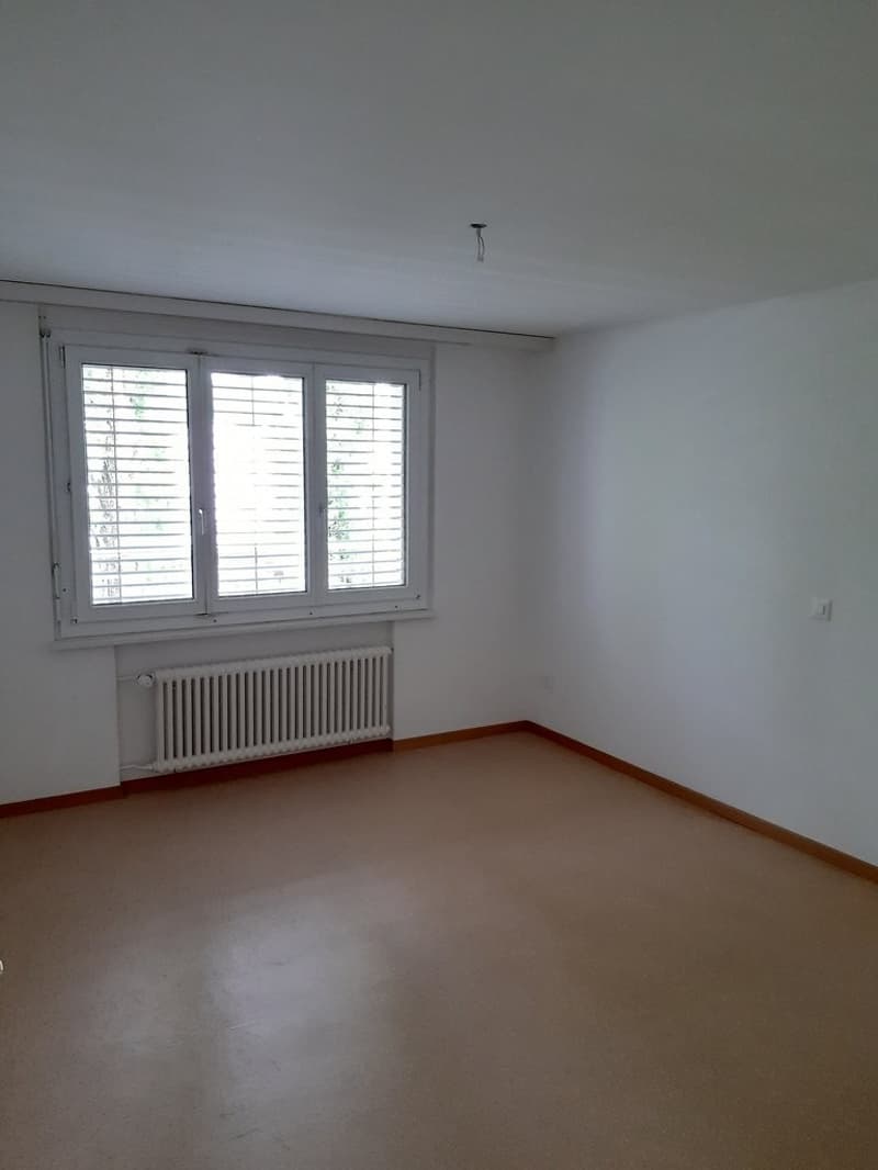 Zimmer