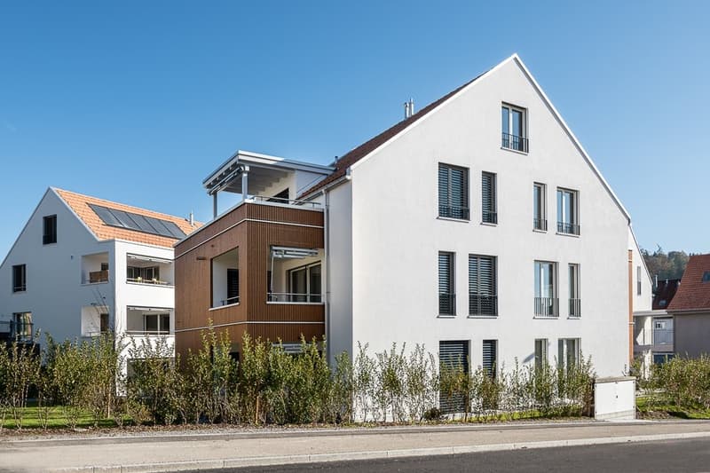 Rossrueti_Braunauerstrasse_1_Web.jpg