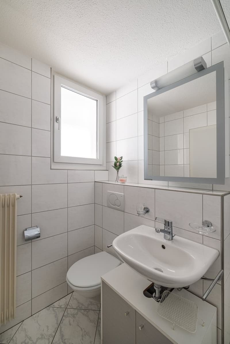 separates WC