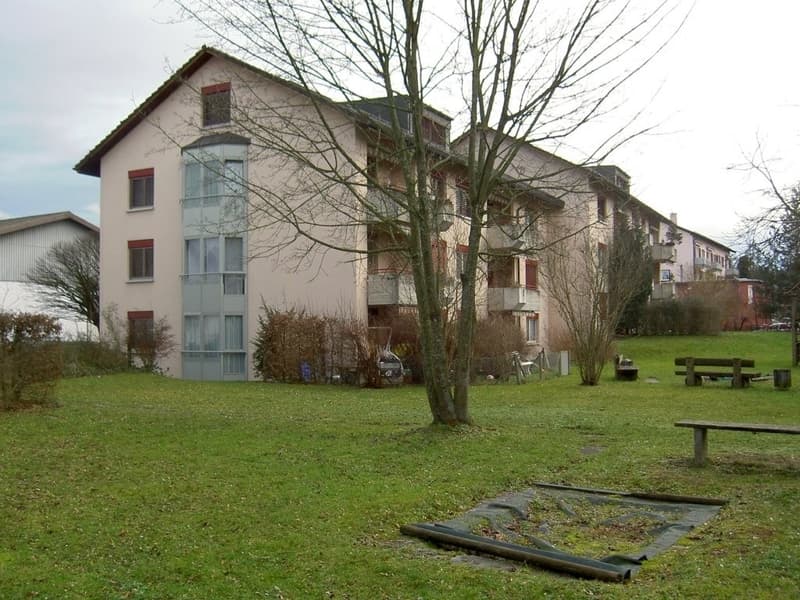 PICT0298.JPG
