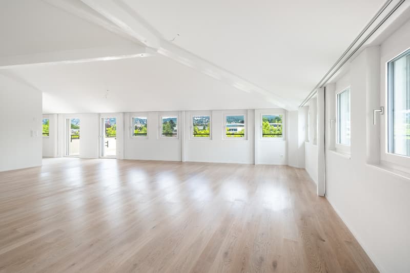 6 ½ Zimmer-Wohnung, 8008 Zürich (7)