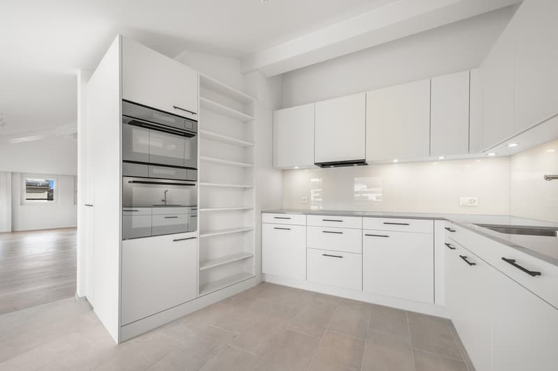 6 ½ Zimmer-Wohnung, 8008 Zürich (11)