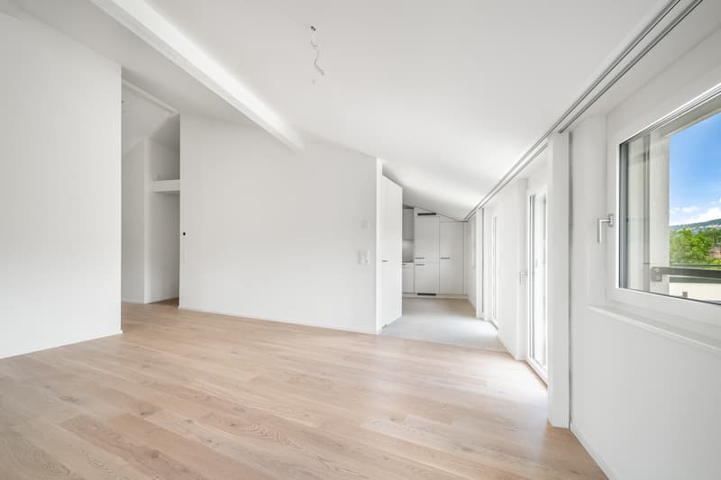 6 ½ Zimmer-Wohnung, 8008 Zürich (9)