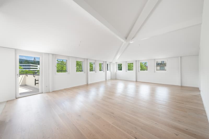 6 ½ Zimmer-Wohnung, 8008 Zürich (6)