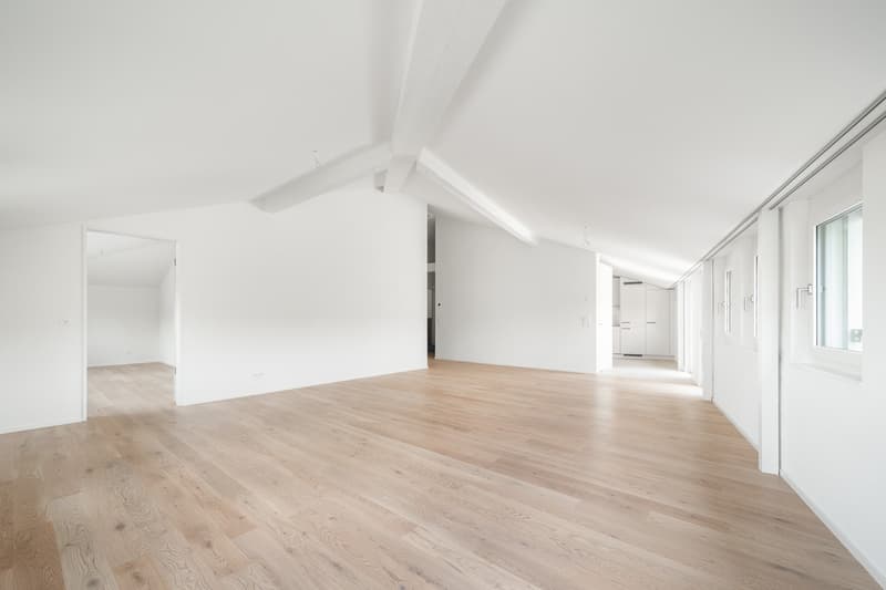 6 ½ Zimmer-Wohnung, 8008 Zürich (4)
