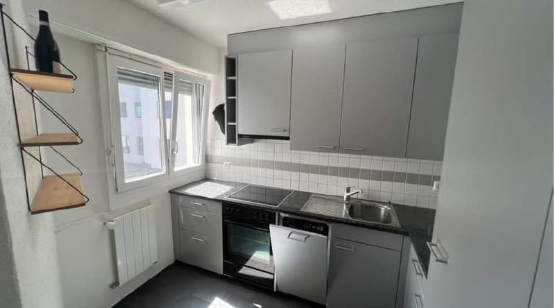 2 Zimmerwohnung 10 Gehminuten vom HB Zürich entfernt (4)