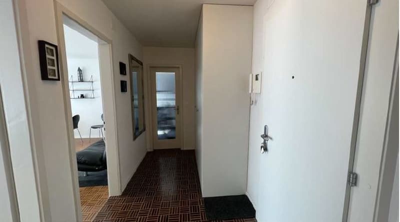 2 Zimmerwohnung 10 Gehminuten vom HB Zürich entfernt (2)