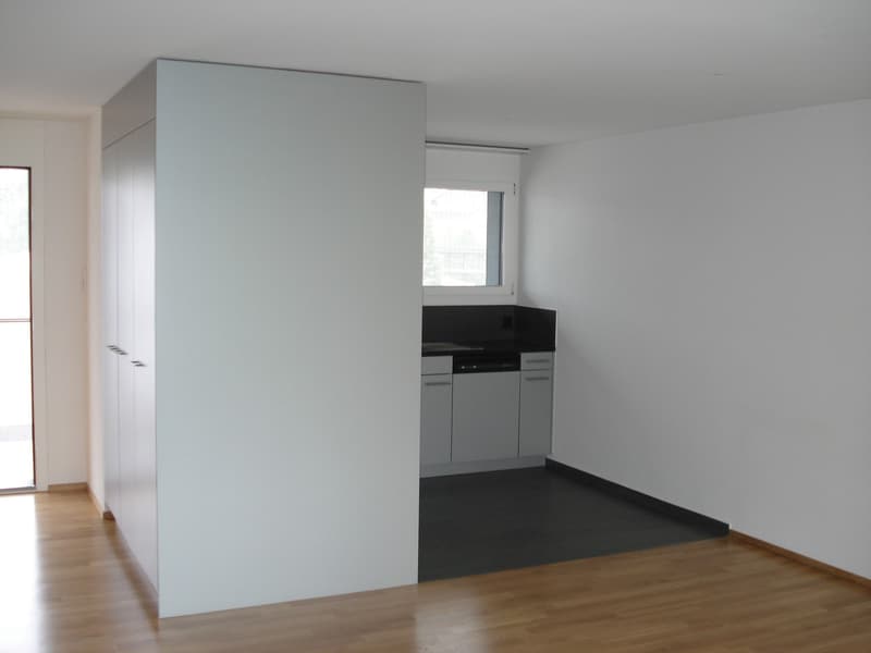 Zentrale Wohnlage in Wetzikon! (2)
