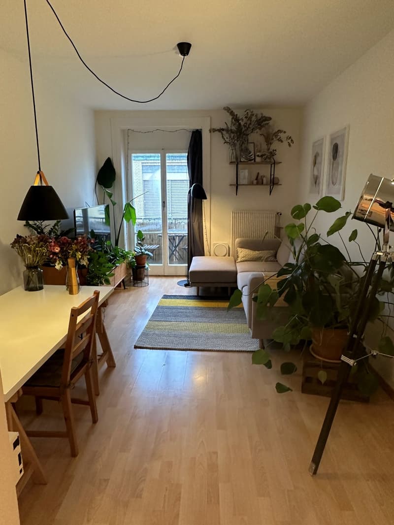 3 Zimmer-Wohnung befristet bis 31.12.2027 (3)