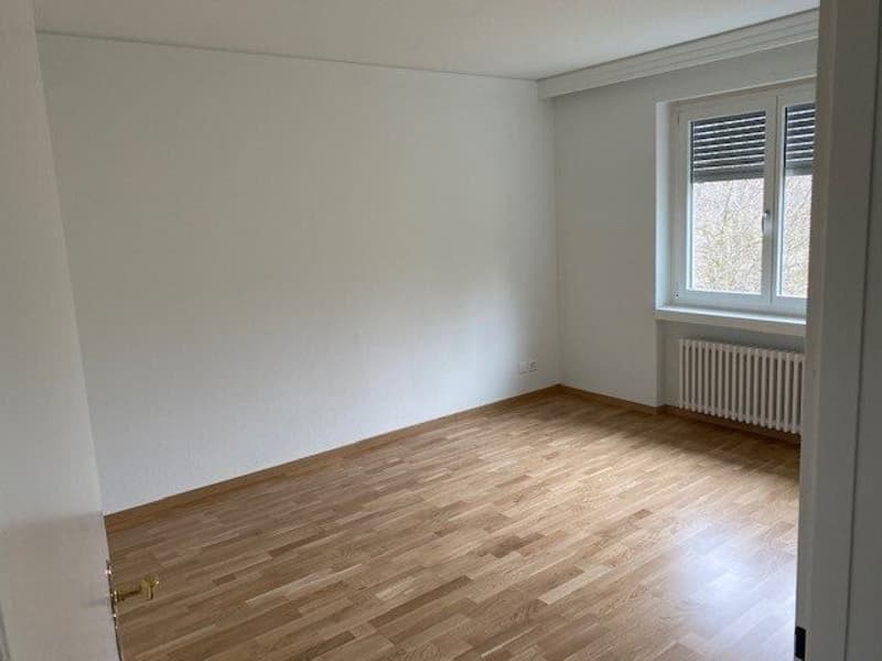 Zimmer2