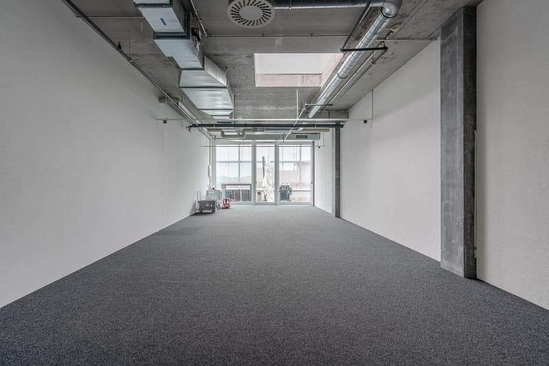 Büro mit eigenem Terrassenzugang (2)
