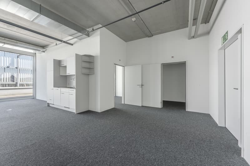 Büro mit sonniger Terrasse (2)