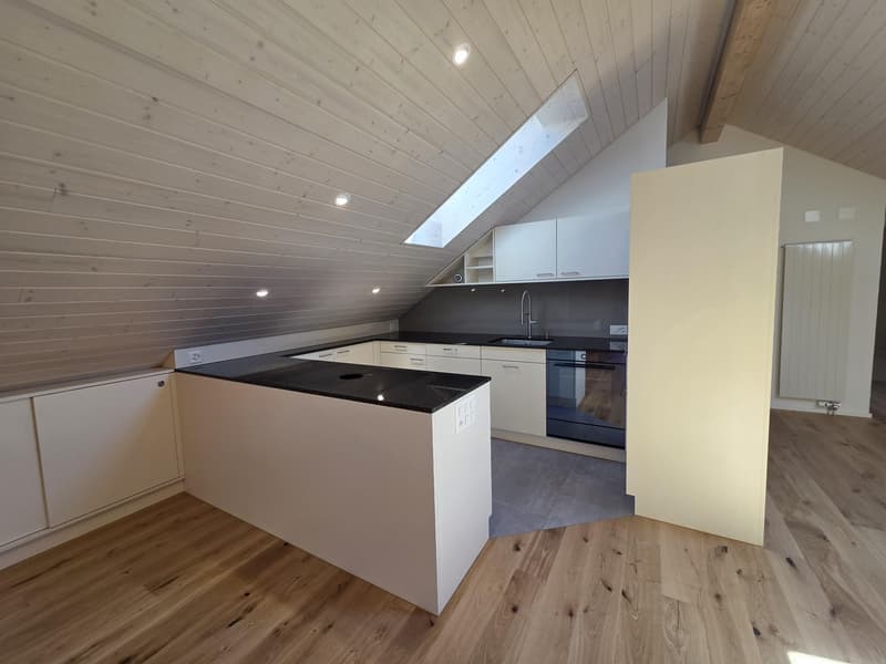 Erstbezug: sanierte und grosszügige 3.5-Zimmer-Dachwohnung (2)