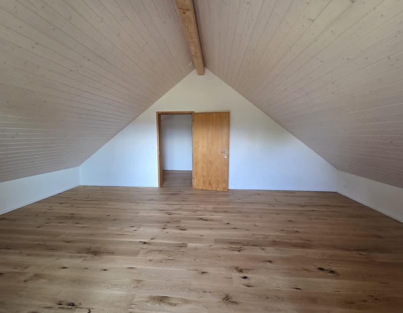 Erstbezug: sanierte und grosszügige 3.5-Zimmer-Dachwohnung (8)