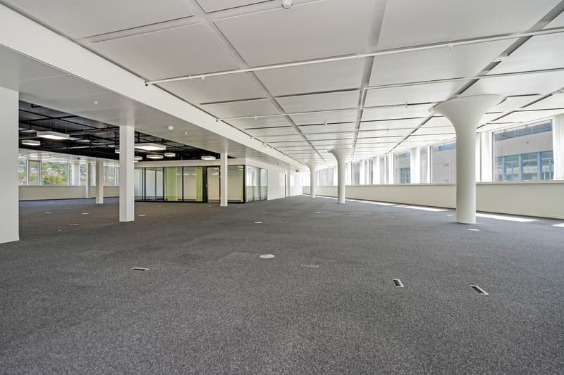 Espace de bureau ouvert - Flexible et adaptable, parfait pour votre entreprise ! (3)