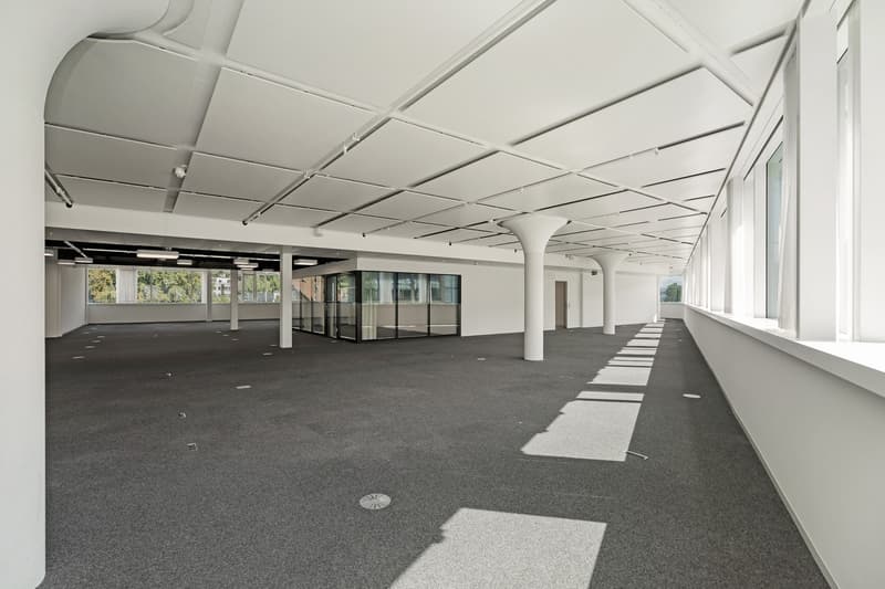 Espace de bureau ouvert - Flexible et adaptable, parfait pour votre entreprise ! (2)