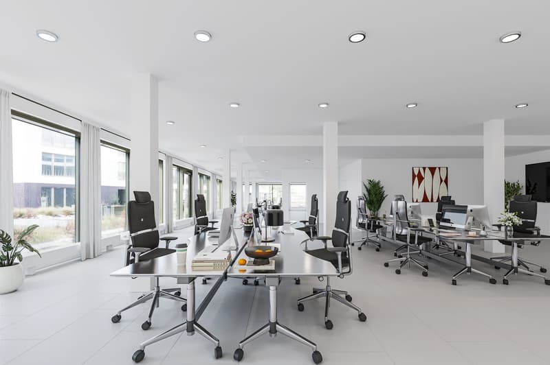 Commercial or office space at Altdorf train station... (2)