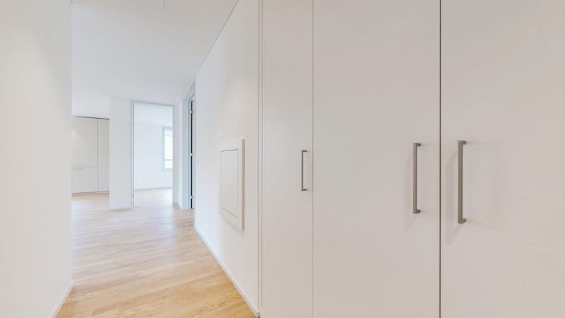 Projekt LOU - Wohlfühloase im lebendigen Tribschenquartier ab 1. Juli 2026 (5)