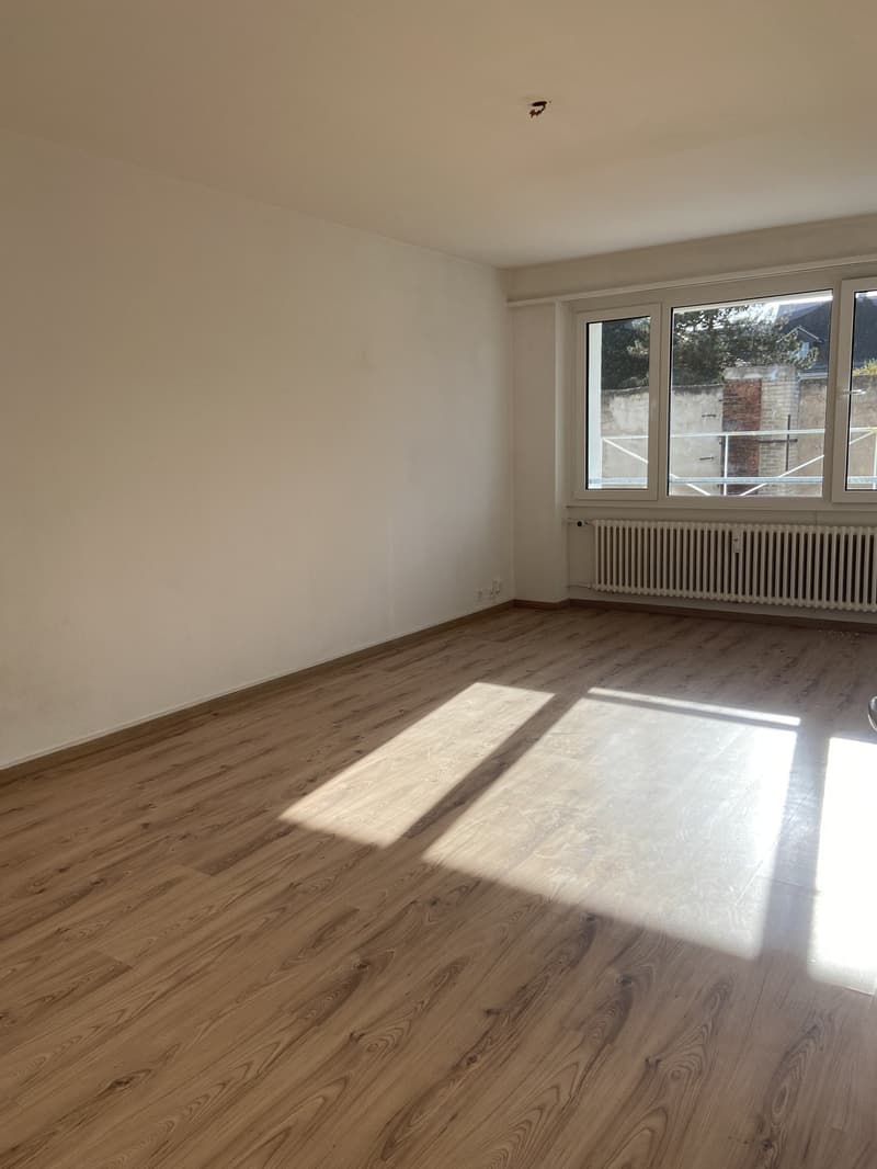 Erstvermietung nach Teilsanierung - Ihre neue Wohnung im Herzen von Basel (2)