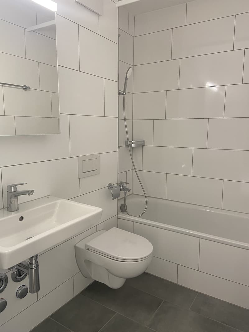 Erstvermietung nach Teilsanierung - Ihre neue Wohnung im Herzen von Basel (5)