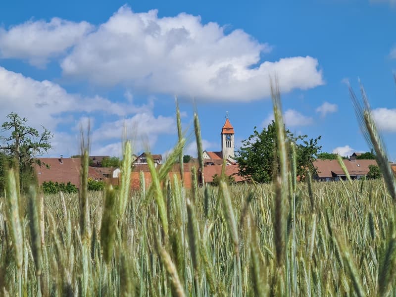 Ein Familientraum in Brütten (1)