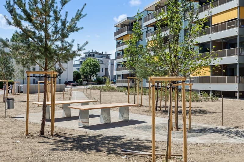 Ruhig, modern, nah bei Bern  3.5-Zimmer zum Wohlfühlen (2)