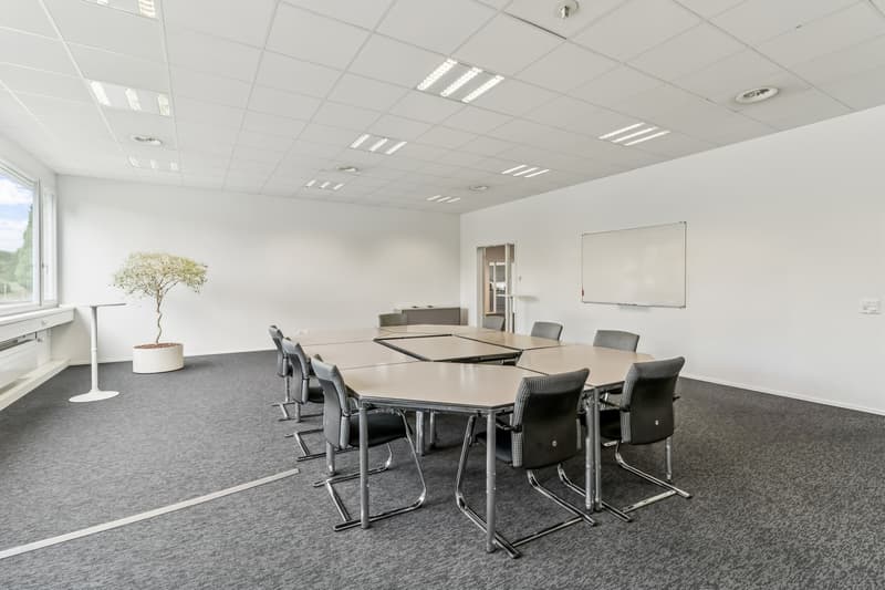 Attraktive Bürofläche an gut erschlossener Lage in Villmergen zu vermieten. (7)
