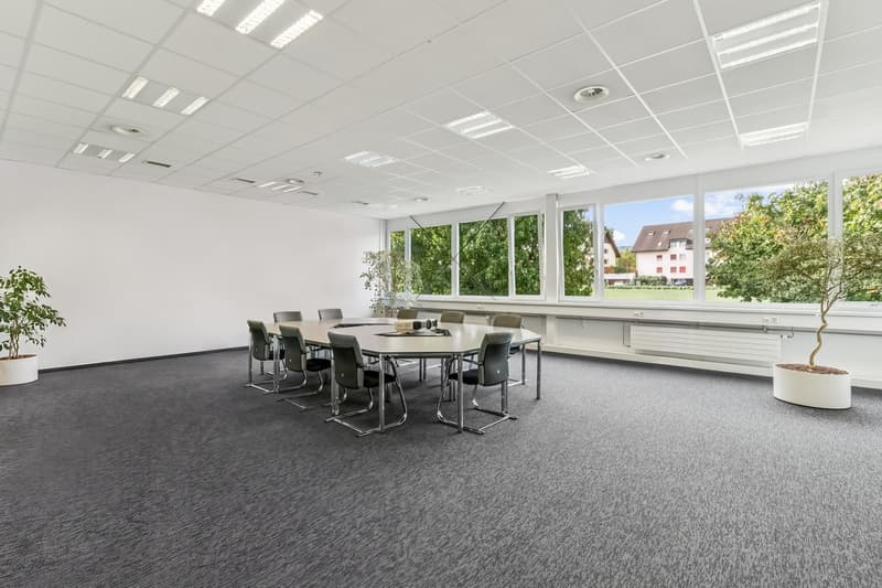 Attraktive Bürofläche an gut erschlossener Lage in Villmergen zu vermieten. (6)