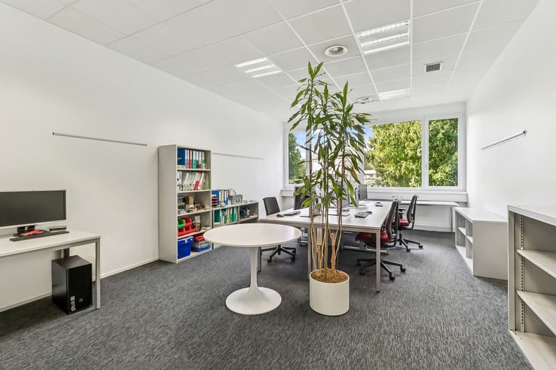 Attraktive Bürofläche an gut erschlossener Lage in Villmergen zu vermieten. (3)