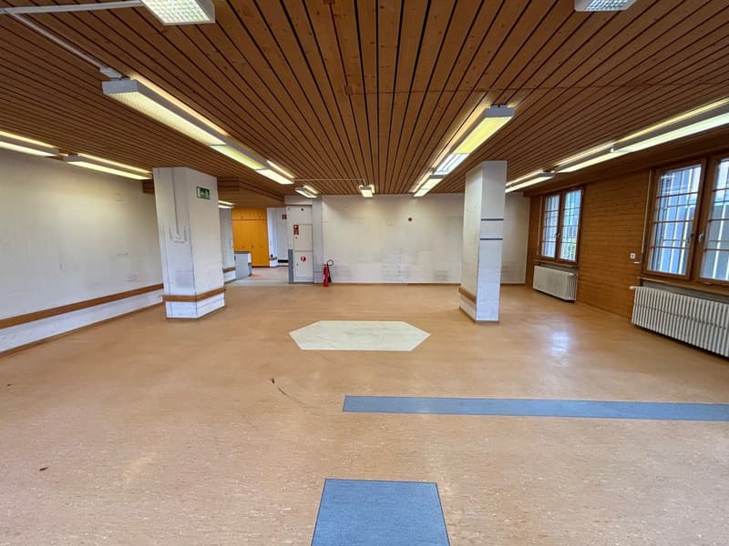 216m² Ufficio, 8253 Diessenhofen (3)