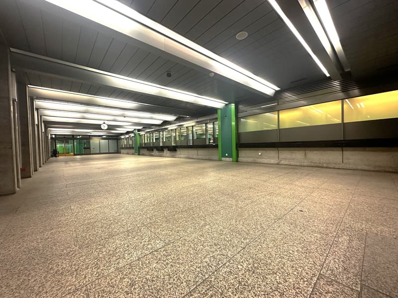 Attraktive Ladenfläche direkt beim Bahnhof Basel SBB (1)