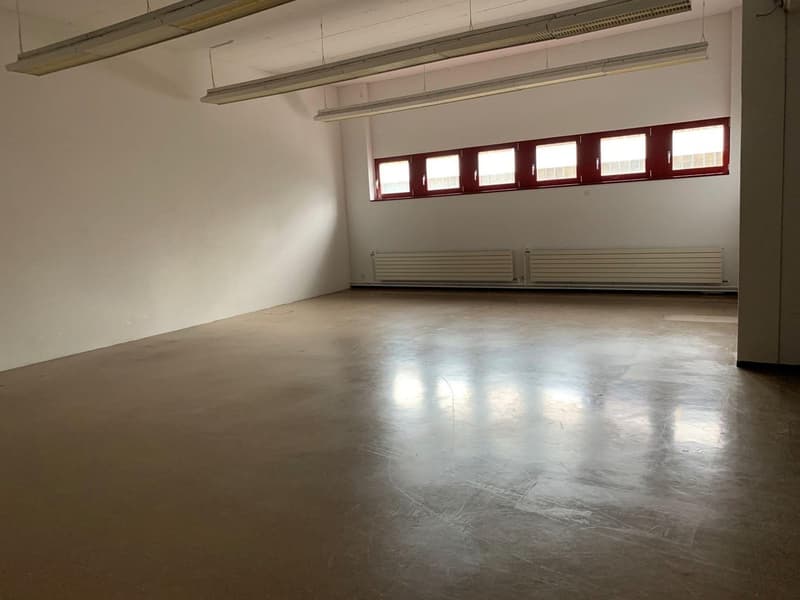 Marly, locaux commerciaux à louer au rez-de-chaussée - idéal pour un dépôt - atelier - club de sport (5)