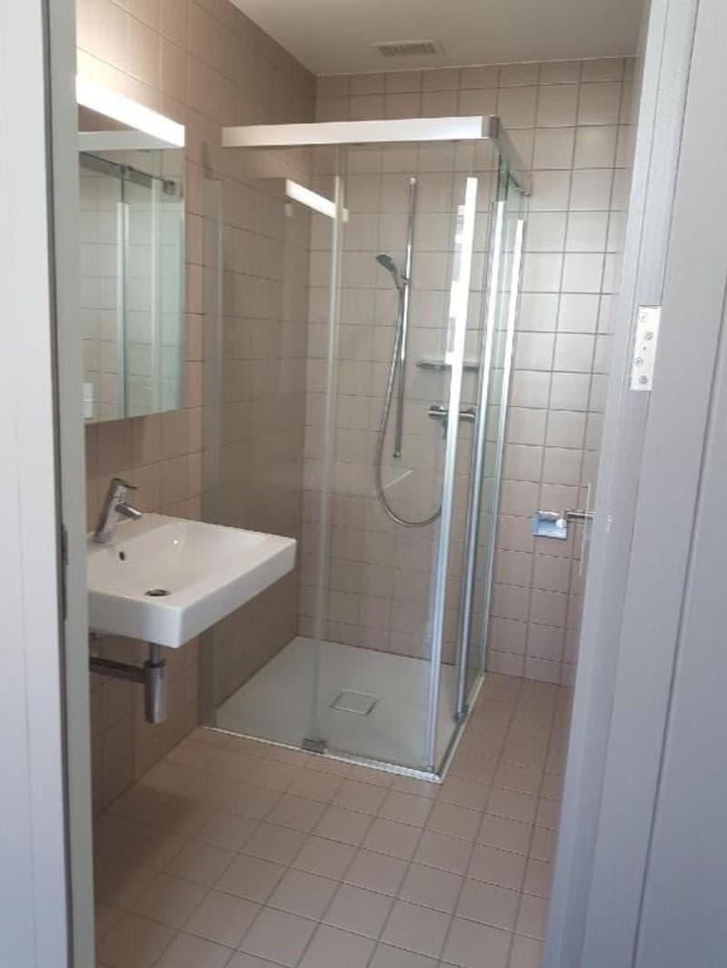 Bel appartement 2 pièces au 2ème étage à louer au Locle, idéalement situé (6)