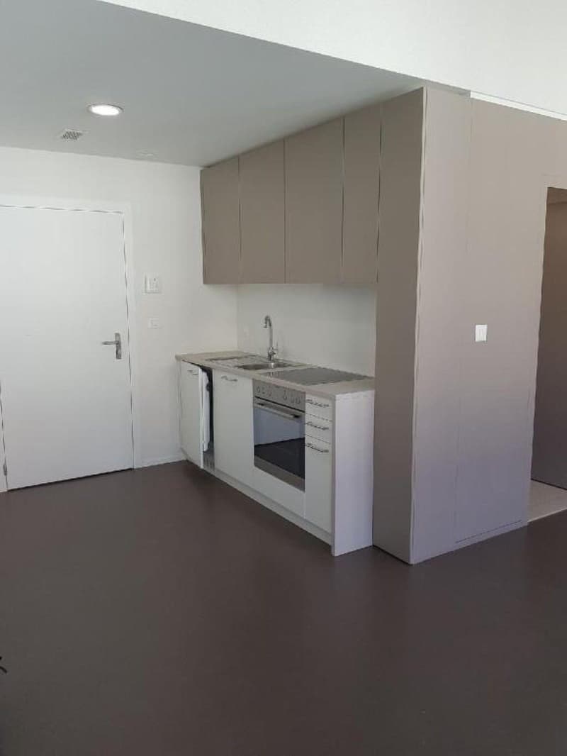 Bel appartement 2 pièces au 2ème étage à louer au Locle, idéalement situé (2)