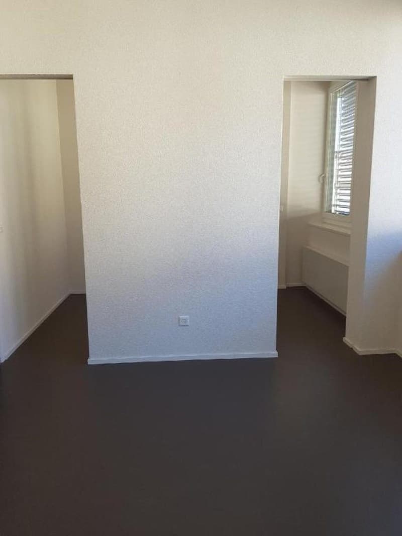 Bel appartement 2 pièces au 2ème étage à louer au Locle, idéalement situé (4)