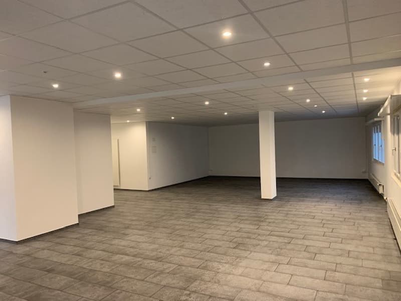 Emplacement parfait pour des entreprises réussies (2)