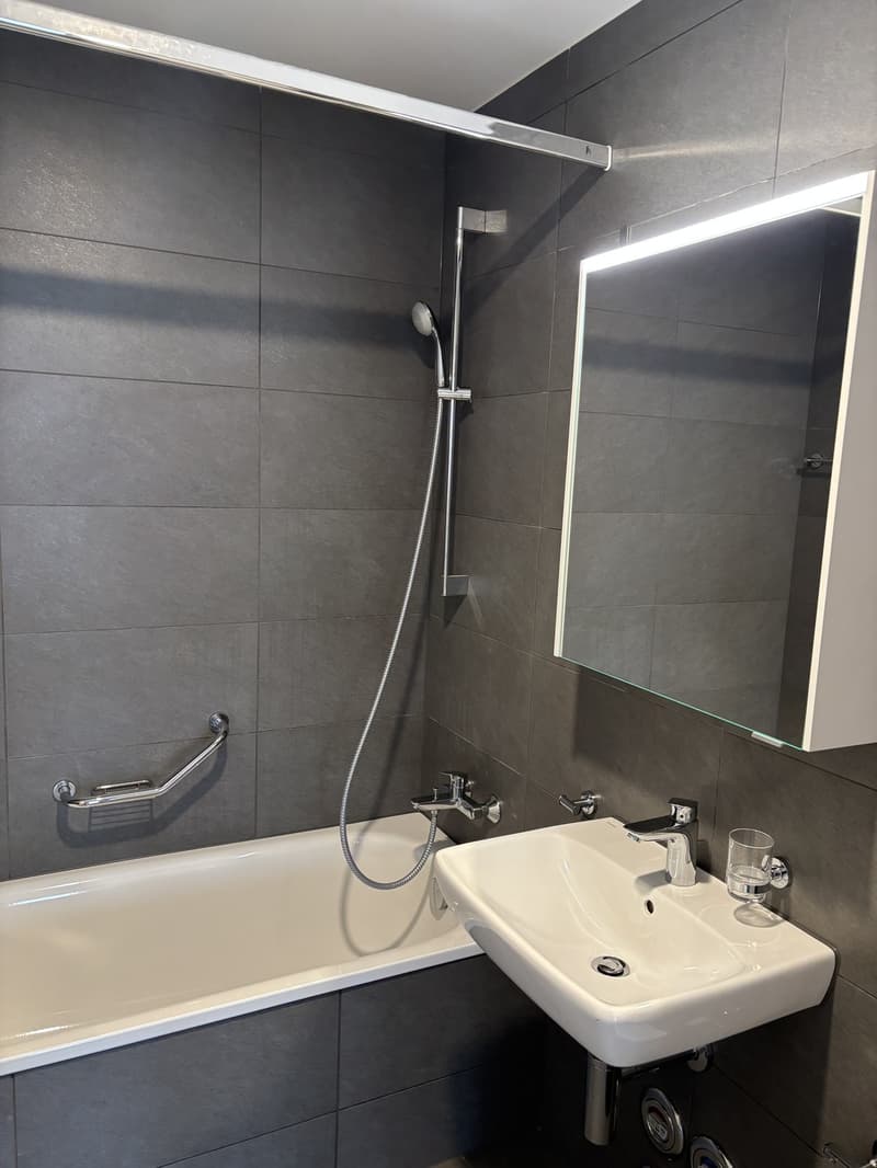 Appartement de 4.5 pces à louer à Delémont (5)