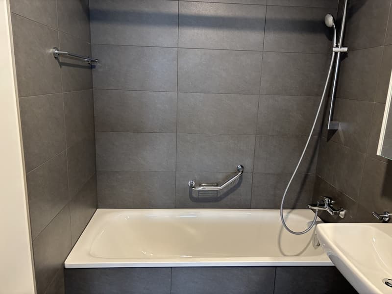 Appartement de 4.5 pces à louer à Delémont (6)