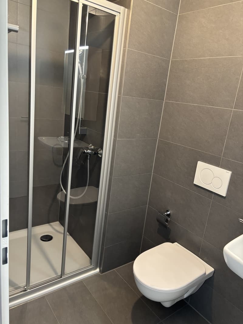 Appartement de 4.5 pces à louer à Delémont (8)