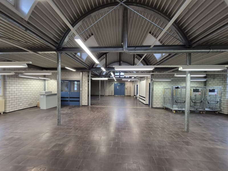 Espace commercial/stockage à Stein am Rhein, idéal pour atelier ou stockage (8)