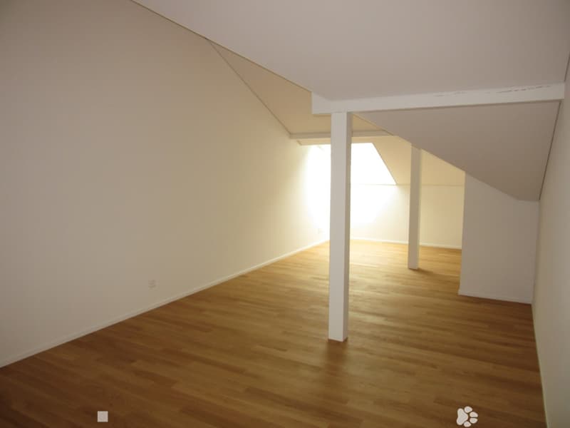 Top 3.5-Zimmer-Duplex-Wohnung (6)