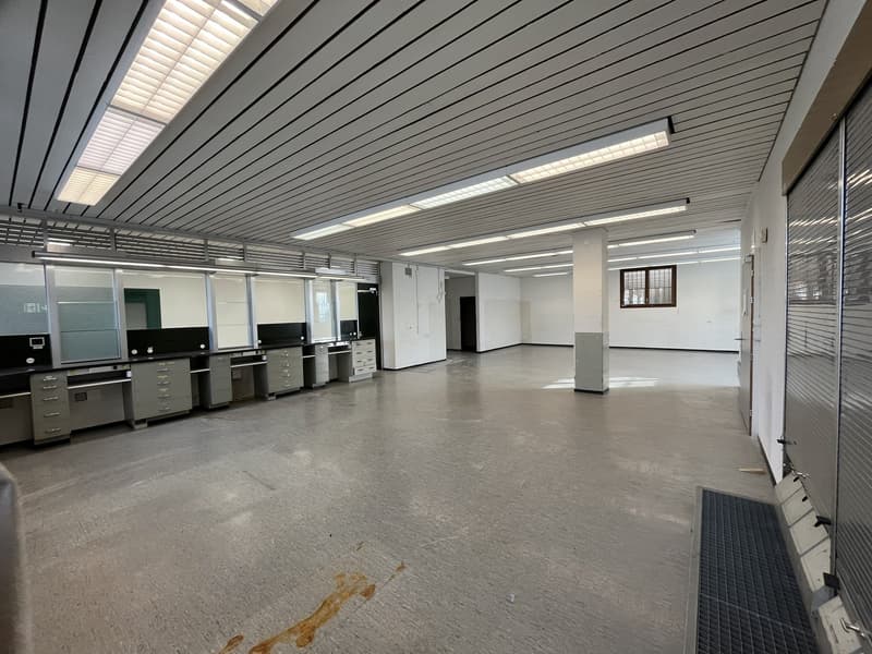 Gewerbefläche (ehem. Postlokal) mit 4 Parkplätzen (3)