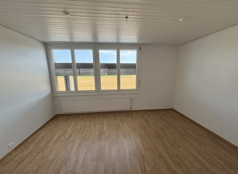 3 ½ Zimmer-Wohnung in Belp mieten (3)